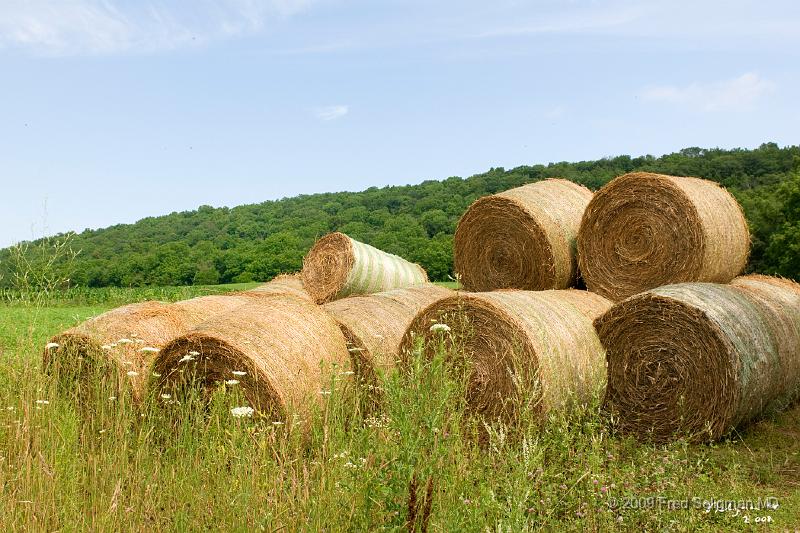 20080718_115234 D300 P 4200x2800.jpg - Bales of hay along Wisconsin Route 60
